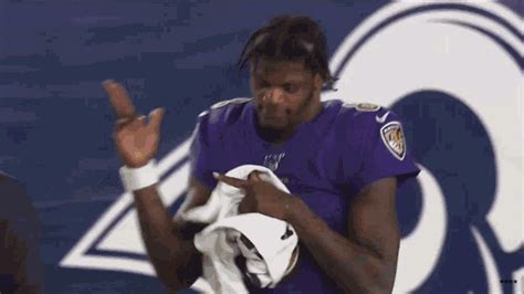 baltimore ravens gifs